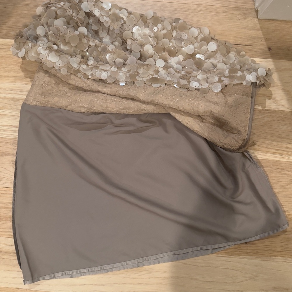 Zara Champagne Sequin Mini Skirt - Picture 6 of 8